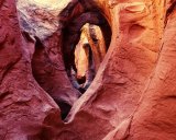 A canyon at Grand Staircase-Escalante National Monument.